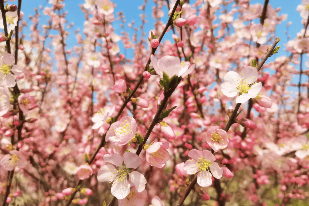 摄影/钟阳阳榆林能化摄影/易建军国宏化工摄影/应存国际焦化摄影