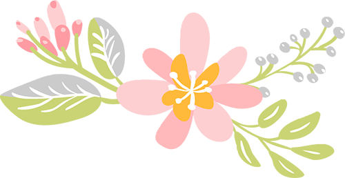 渐暖日渐长人间三月好春光三月是充满希望和梦想的季节【迎接各地游客