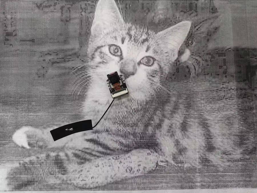 创客项目秀基于xiaoesp32sense的宠物猫检测项目