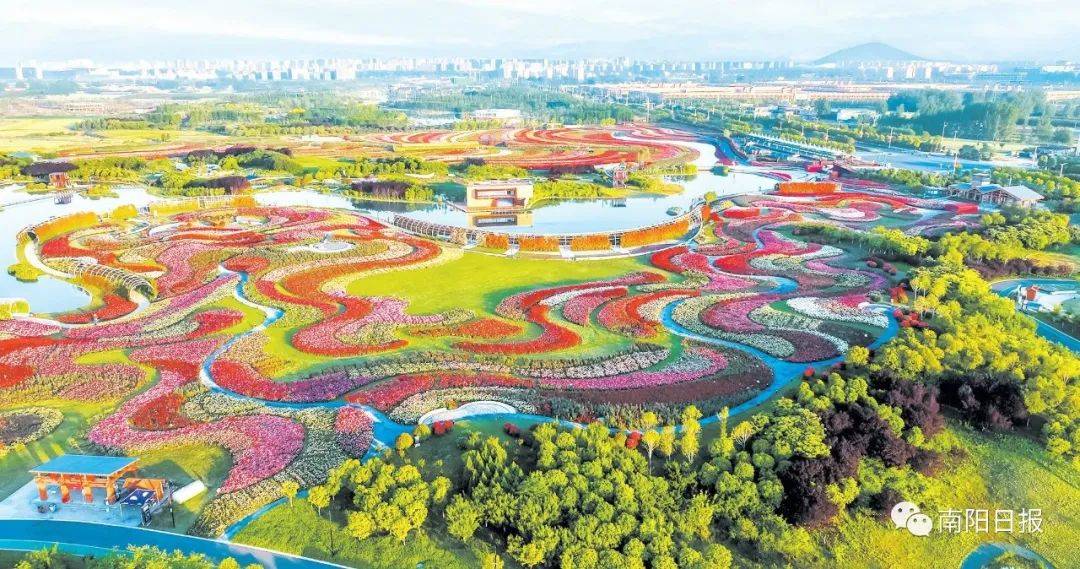 4月28日世界月季盛会将在南阳举办