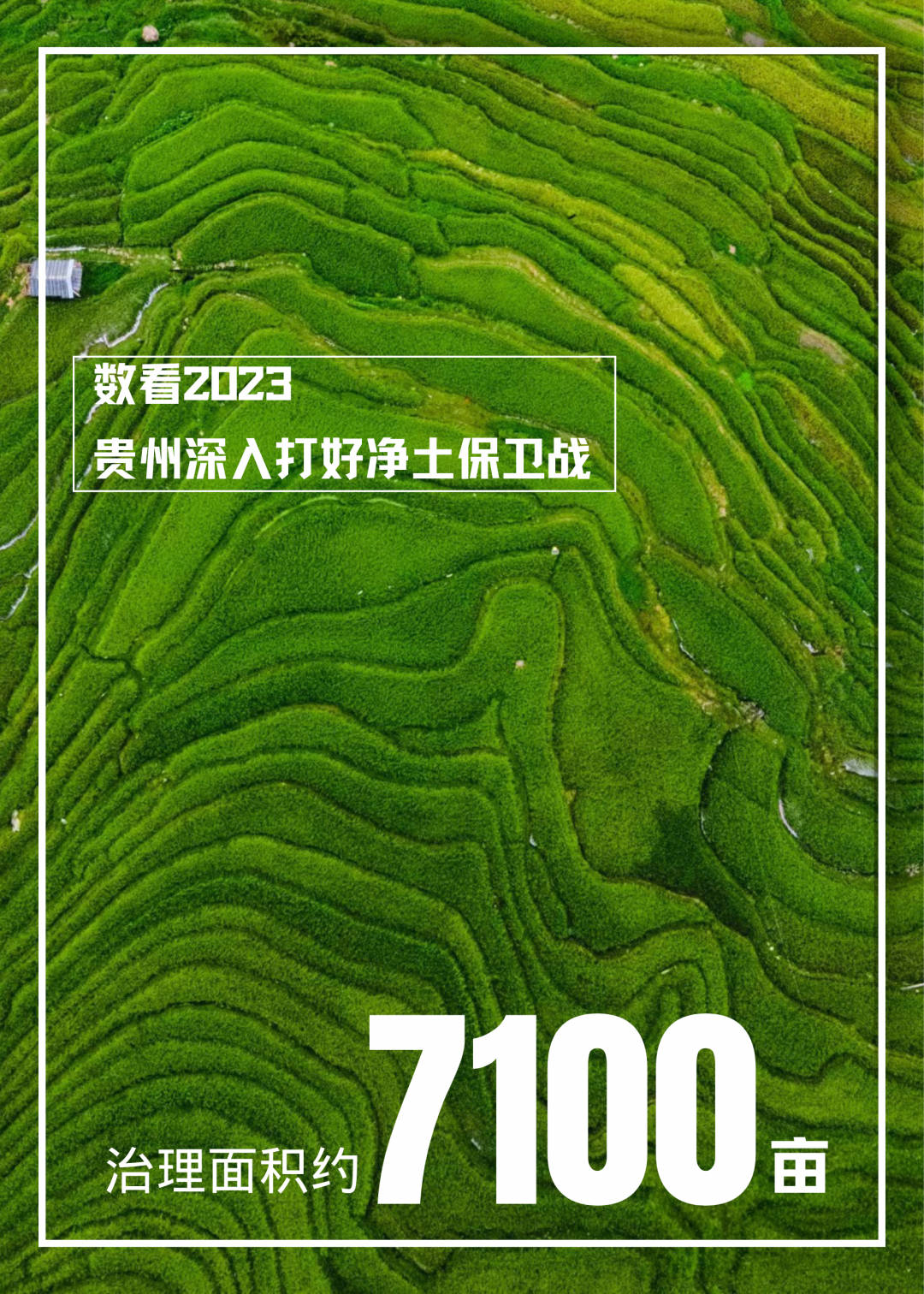 海报数看贵州净土保卫战