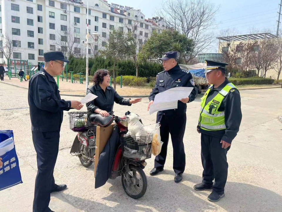 捕捉收容流浪犬11只!青岛西海岸新区开展文明养犬宣传活动_摄影_刁明杰_王岩青