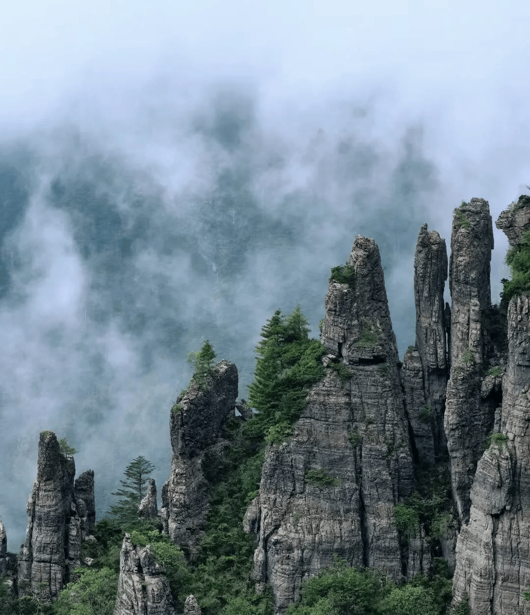 神农架景点有哪些图片