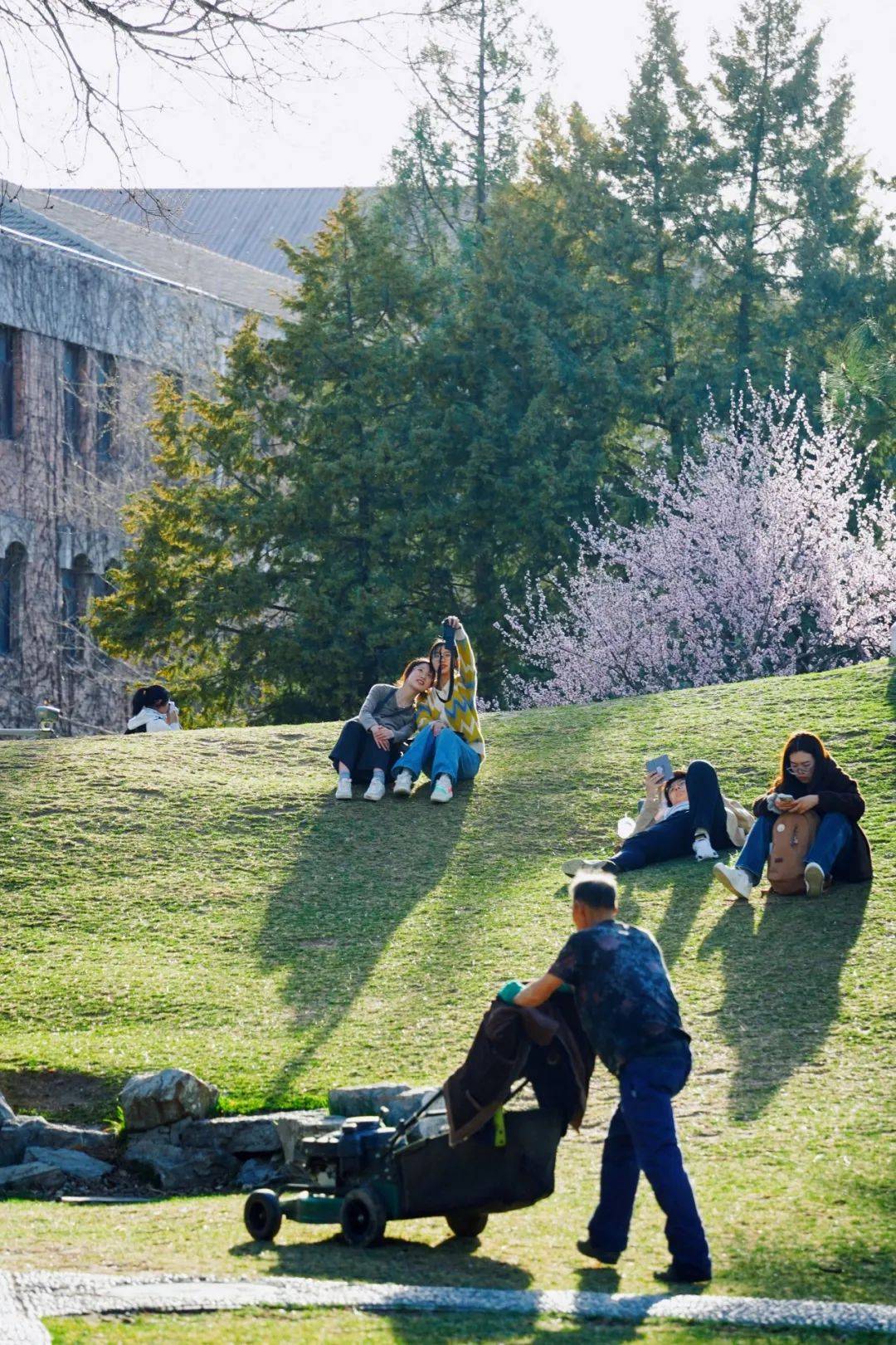在清华过春天的n种方式19152024年版