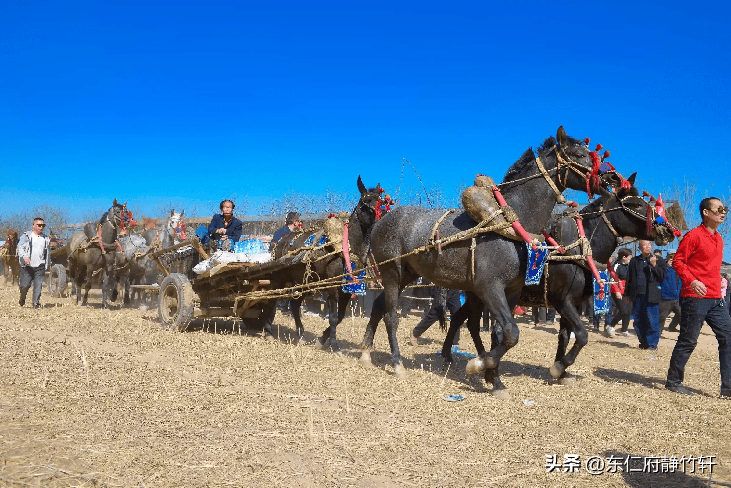 第二届关中道车马农耕文化传承交流会与古代农耕印记 文/李景宁