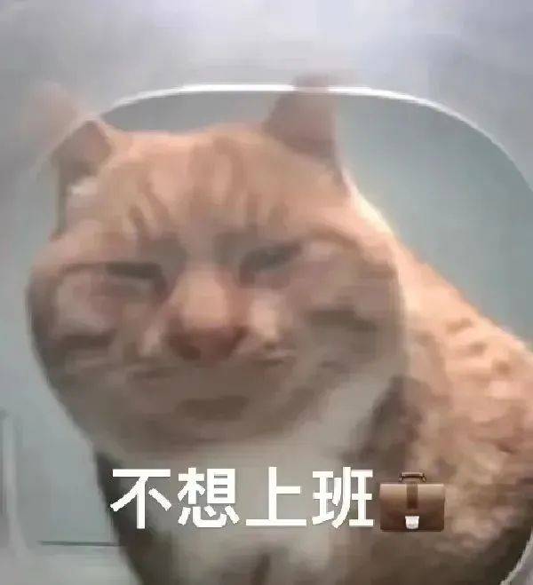 超级无敌的表情包