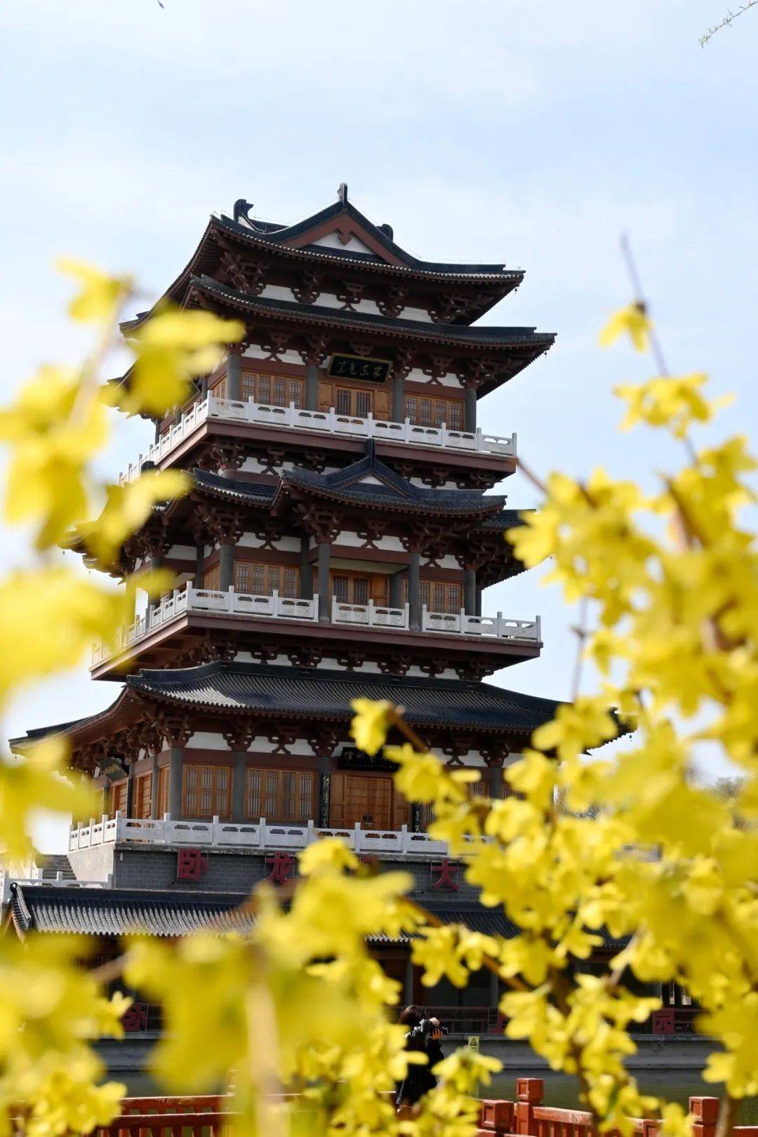 6464646464我～在～临洮~想～开～了～64646464