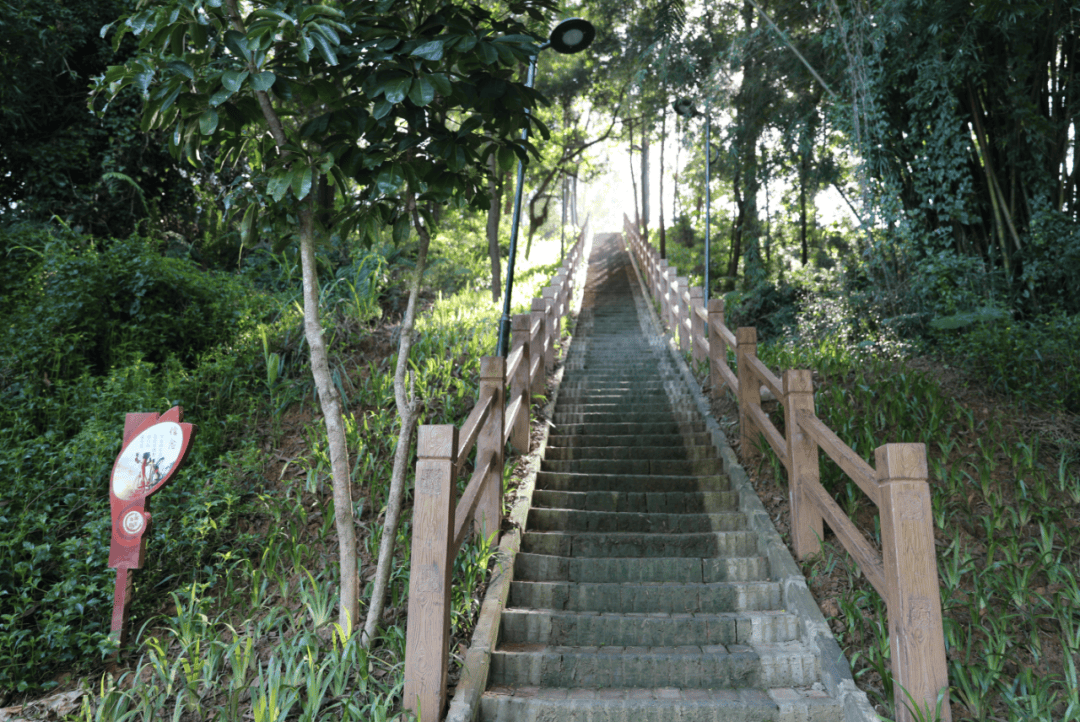 可以选择登山道徒步来到博罗县城东山公园县城东山森林公园感受"绿"