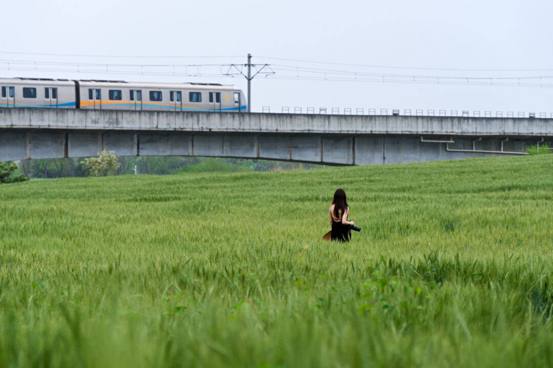 成都版喜洲麦田火了地铁可达