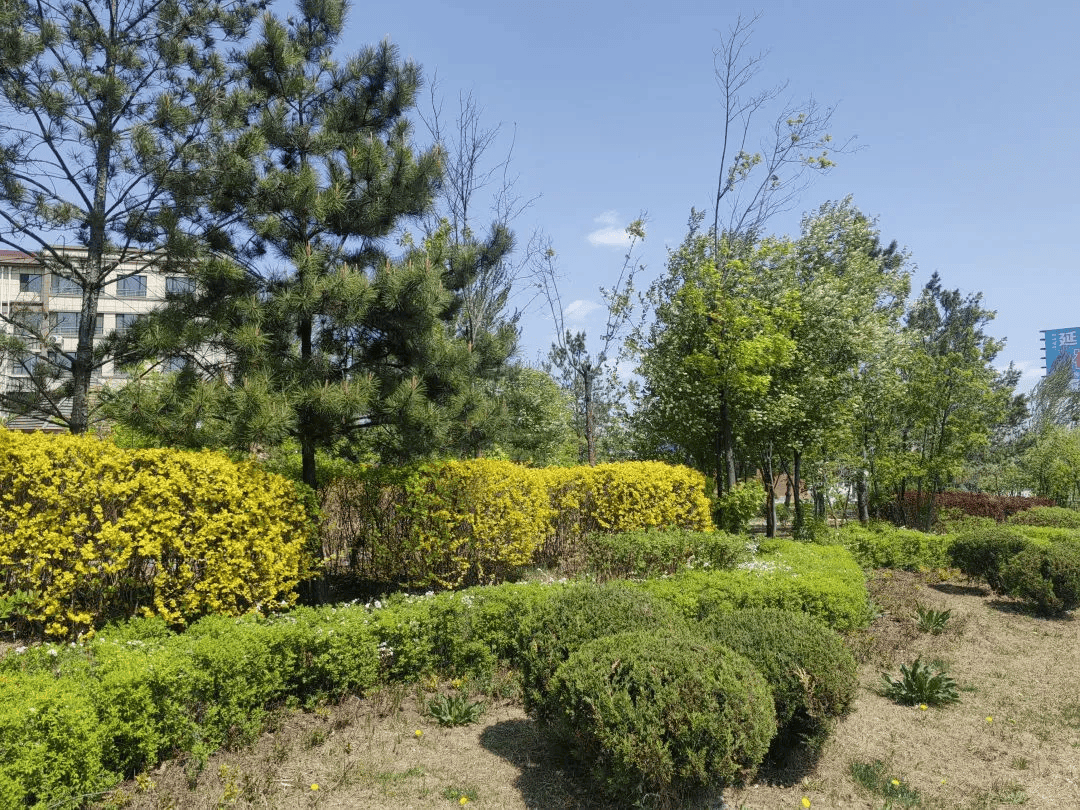 绿美延吉入画来幸福生活踏歌至