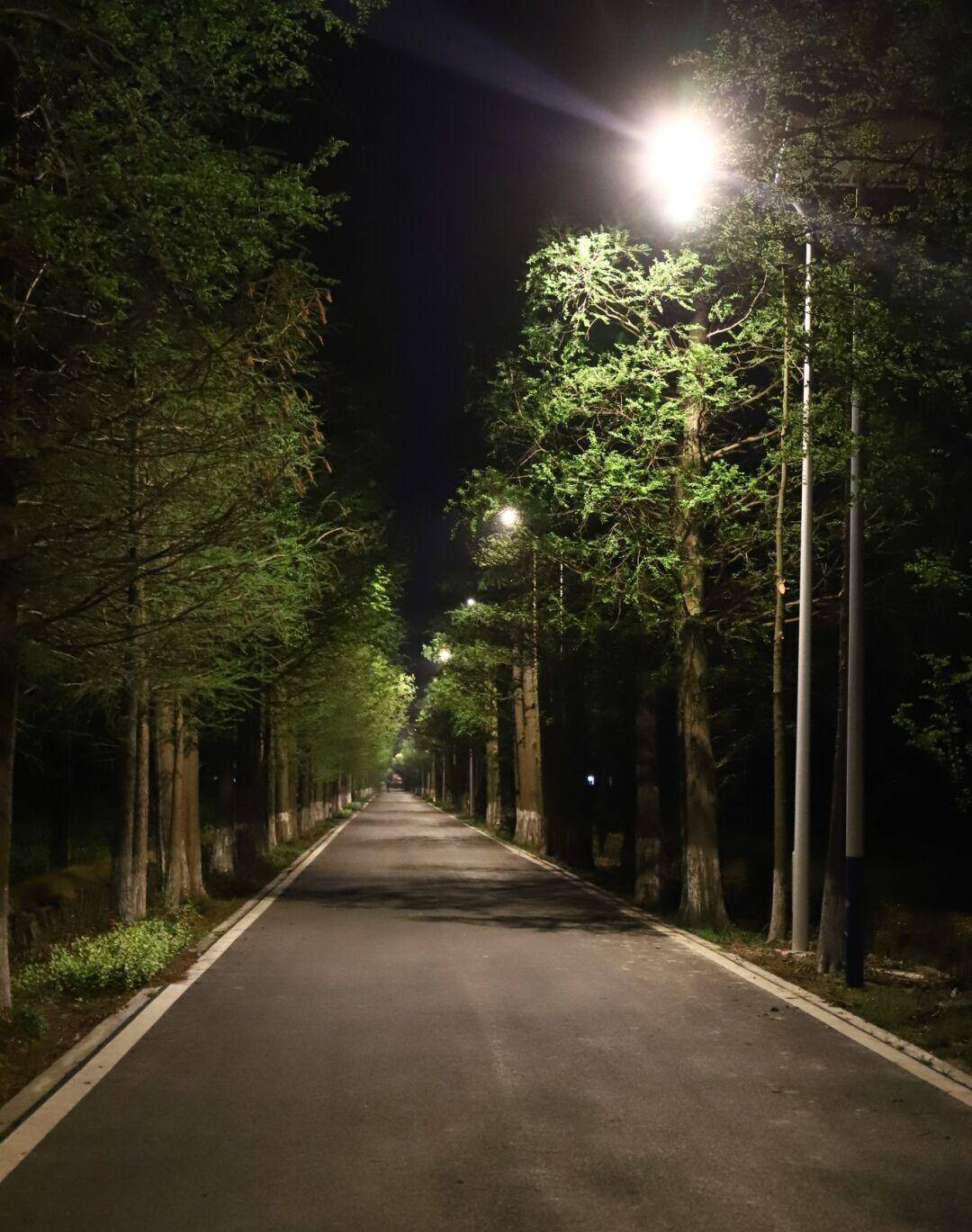路灯亮了