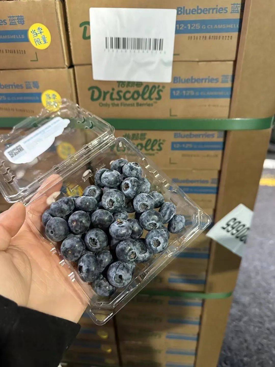 挑战全水果店zui低价商超￥698盒￥99秒杀6盒怡颗莓蓝莓l25品种009