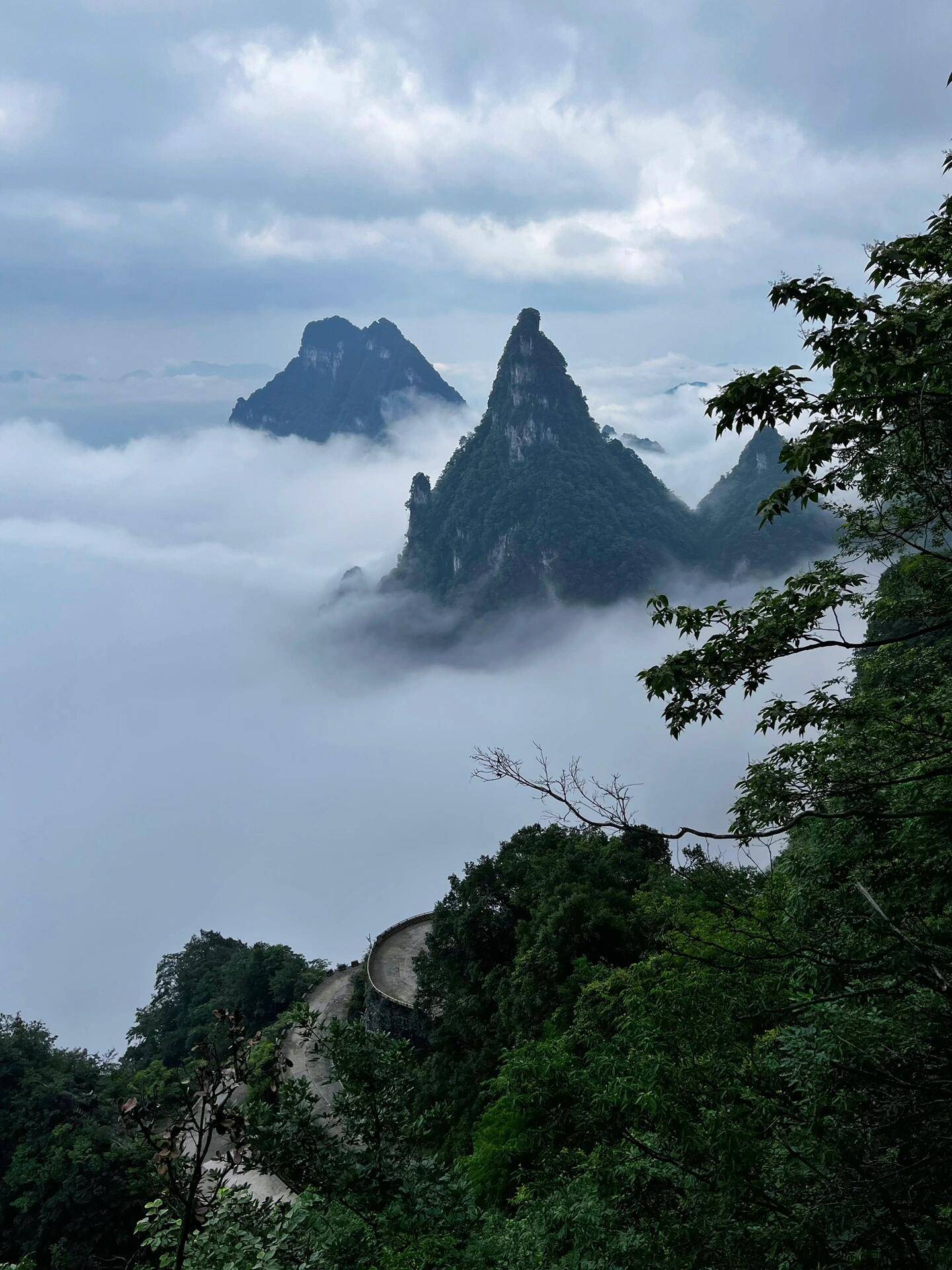 去张家界旅游主要景点攻略图保姆级攻略大全丨建议收藏备用