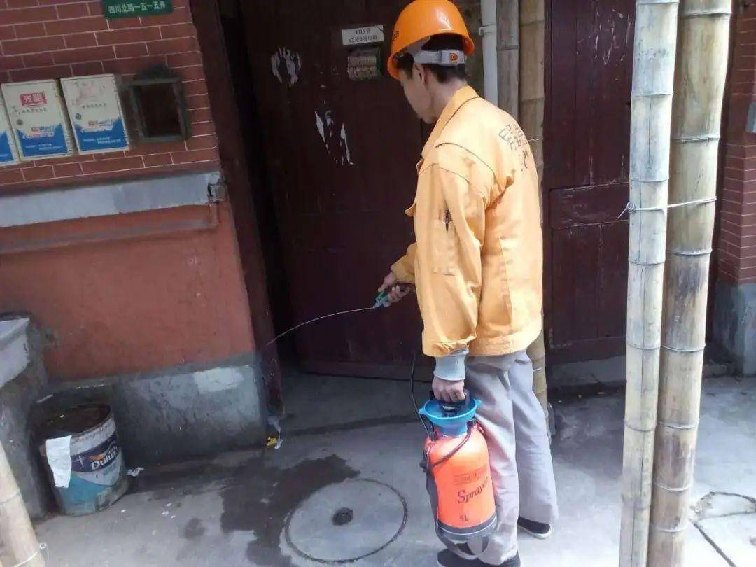 快捷高效白蚁防治员使害虫无处遁形