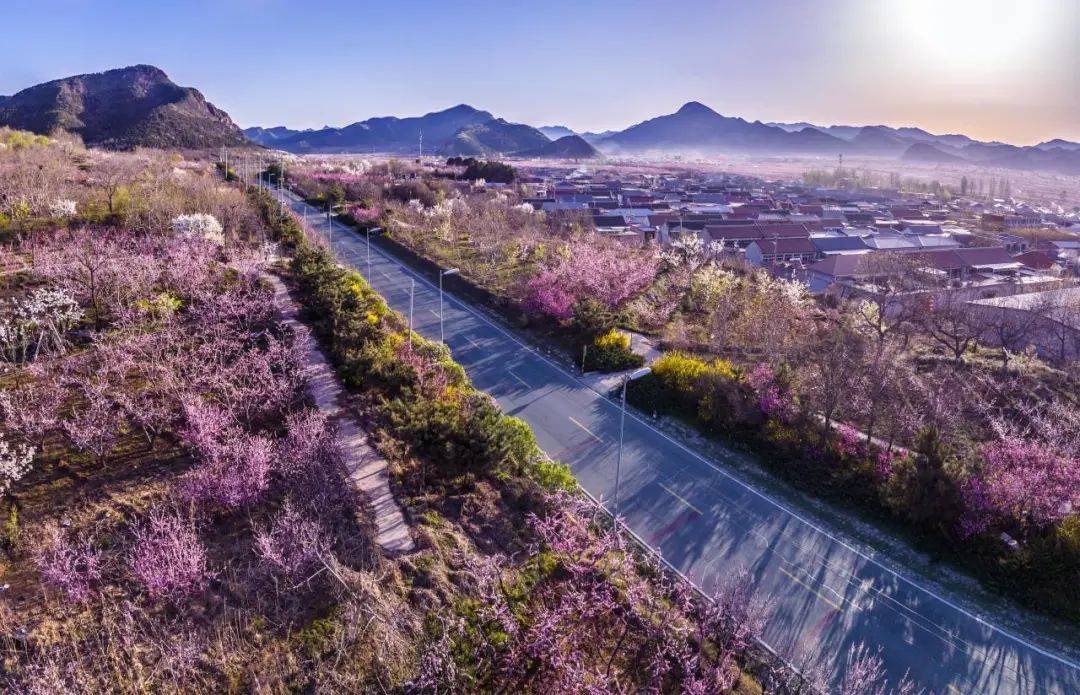 67【各区交通】赏平谷万亩桃花海,打卡特色休闲景点之路