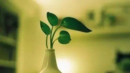 以下小贴士可以作为季节性情感障碍急救包,帮助心理咨询师和来访者