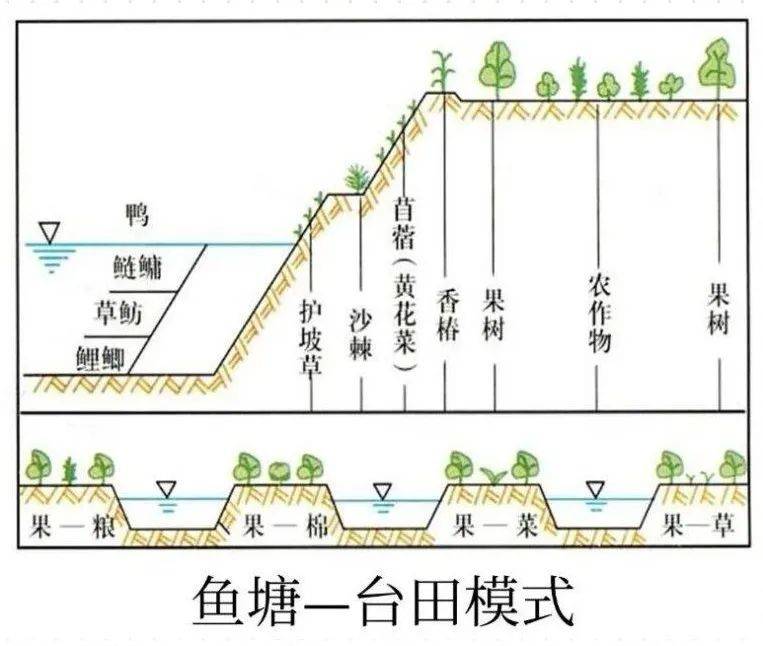 华北平原鱼塘台田模式图片