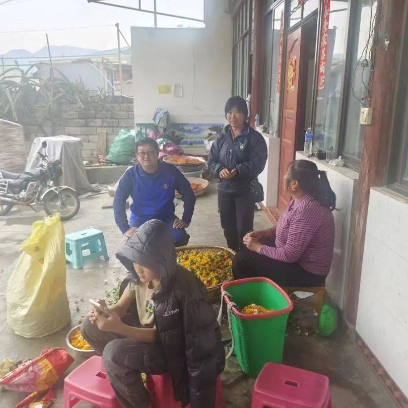 有着一个掩盖在群山褶皱里的小山村,这就是位于云南省保山市隆阳区