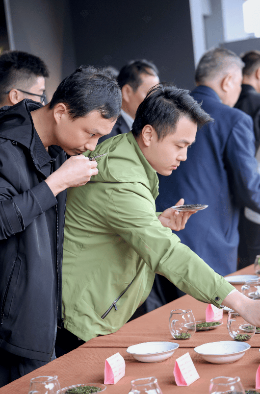 赤壁市第二届"百家茶馆进茶园暨春茶品鉴交易会"成功举行