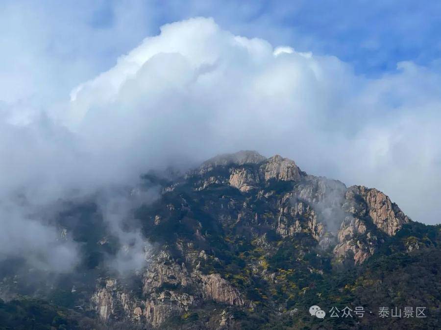 雨后泰山美得朦胧梦幻!后石坞索道今天停运!恢复时间