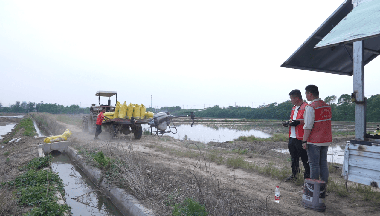 点亮45月冬小麦植保旺季到了农田的低空早已热闹起来这是飞手的春天