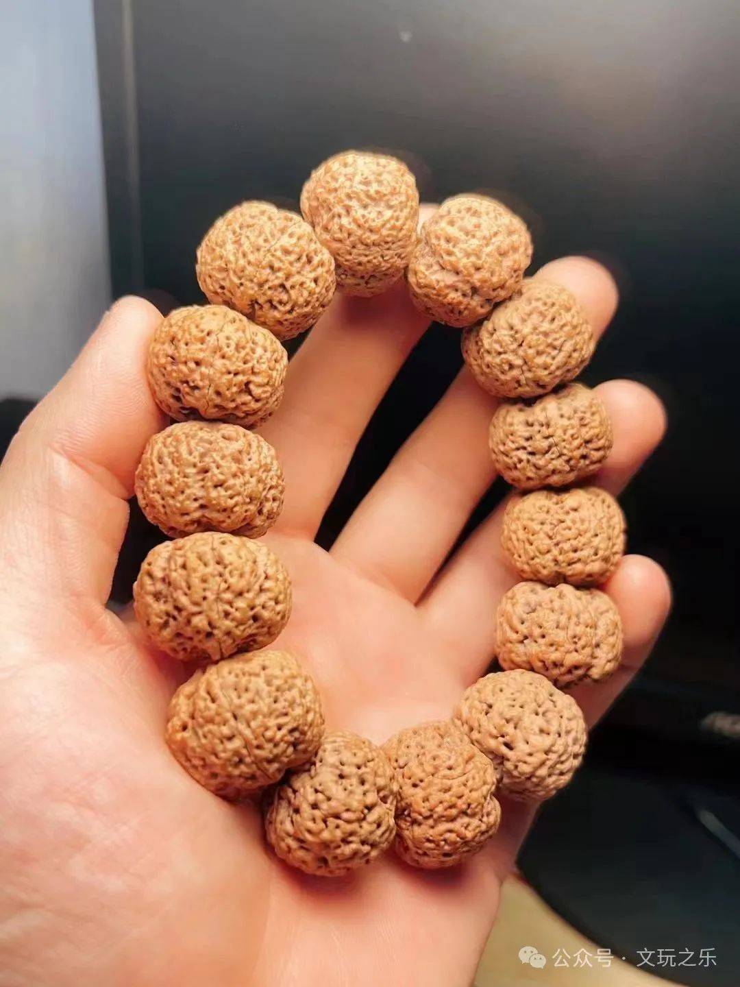 今天说的菩提子就是金刚菩提,号称可以摧毁一些邪恶力量,也有坚固的盾