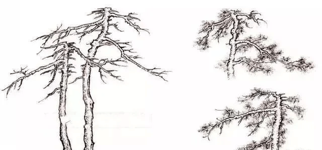 松树简笔画步骤图片