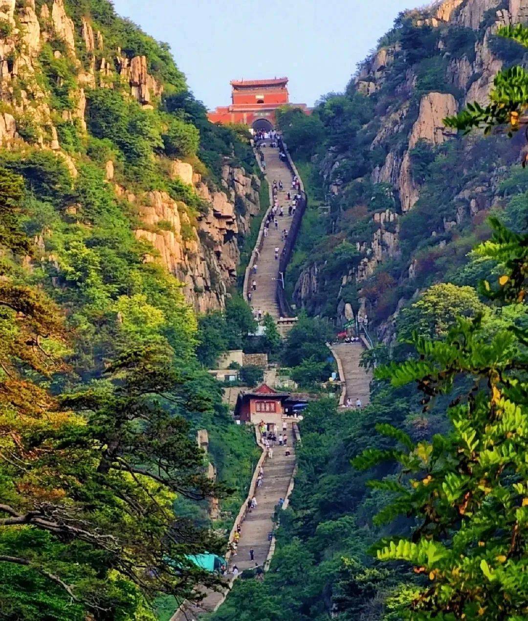 田祥鸿 泰山三题