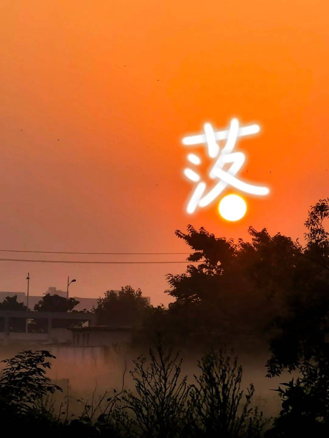 姜其乐寻着光照的方向,把你珍藏.@脆薯饼灯立花下,墙绘花影.