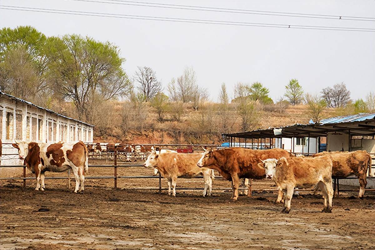 长子县攀高追新助力传统农业突围