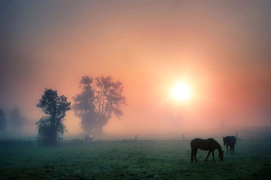 俗语菜不摆三筷不成五席不成六原来是这个意思太实用了
