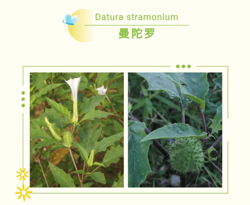 马上大批临汾人将离开城区