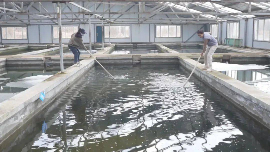 五大任务落实冷水鱼特色养殖跑出乡村振兴加速度