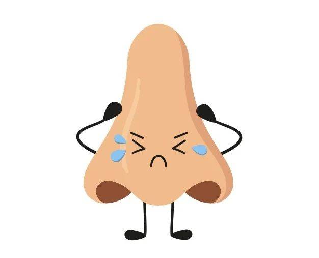 鼻子是人体呼吸道的起始部分,它为呼吸道筑起三道防线:鼻毛有阻挡灰尘