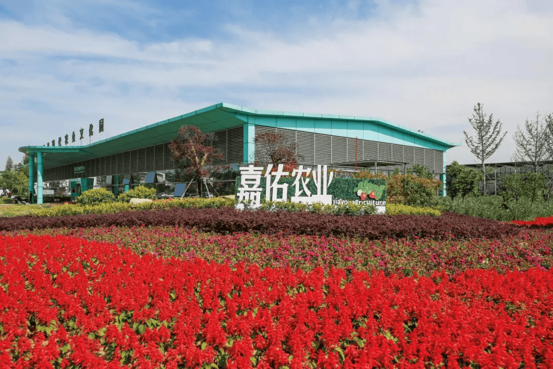 以乡村休闲旅游为径推动农旅融合高质量发展