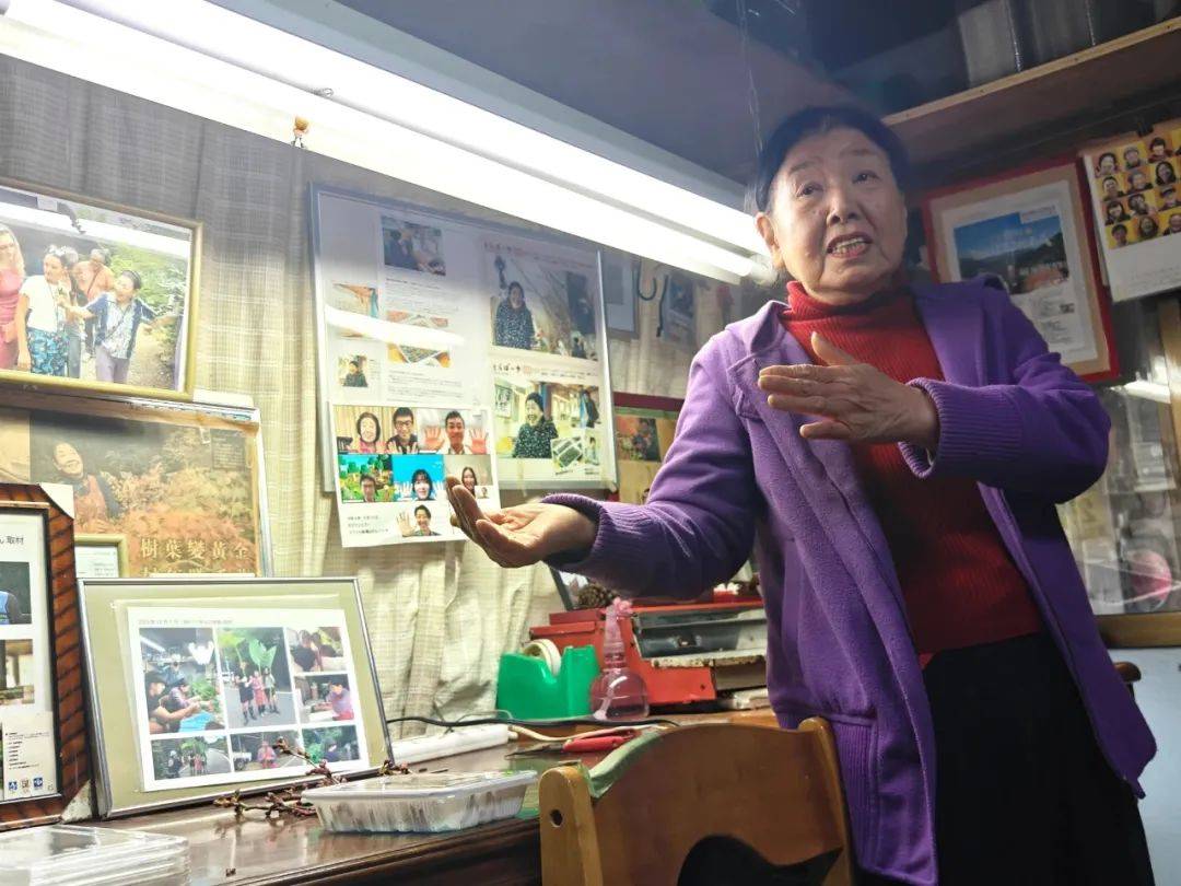 摄影/《财经》记者 邹碧颖西荫幸代采撷的樱花枝.