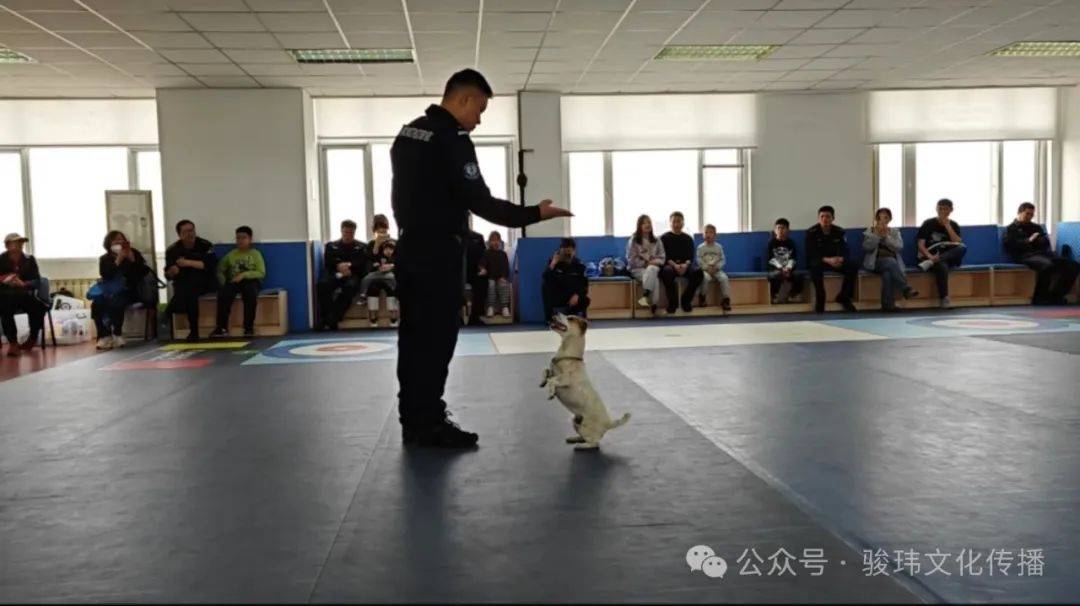 滨海新区少年警校丨第二期平安警相随国家安全专题开放日