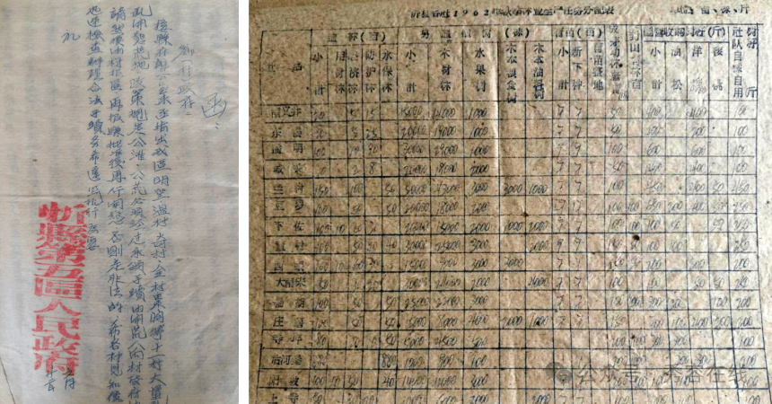 忻府区奇村镇林业资源综述