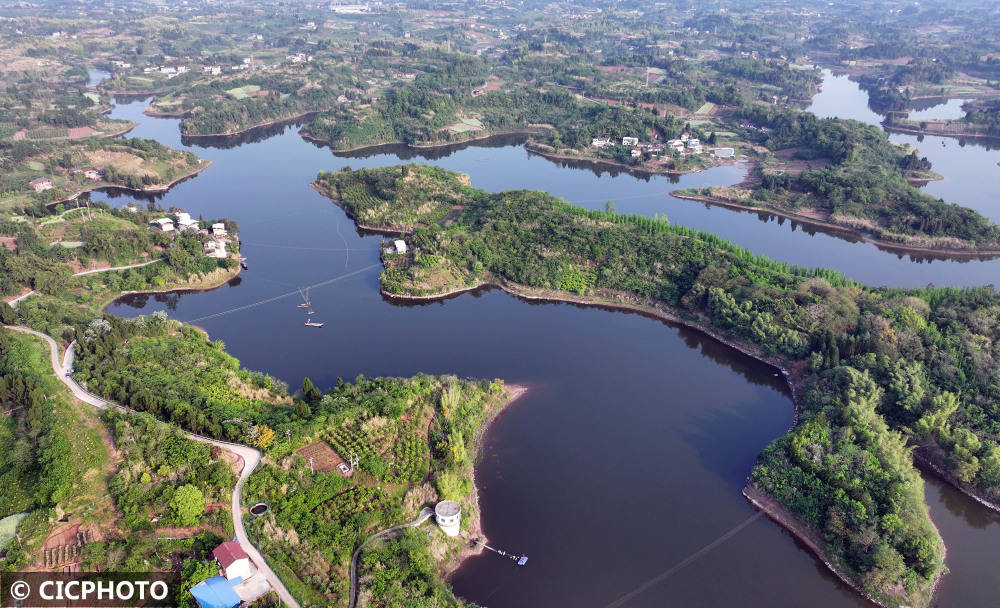 四川内江生态鱼助力建设幸福河湖