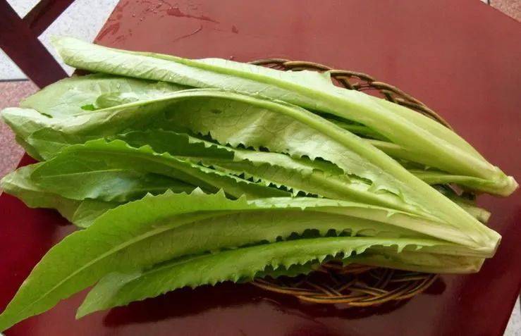 每天吃一把,补钙降固醇还能抗衰老~_油麦菜_作用_维生素