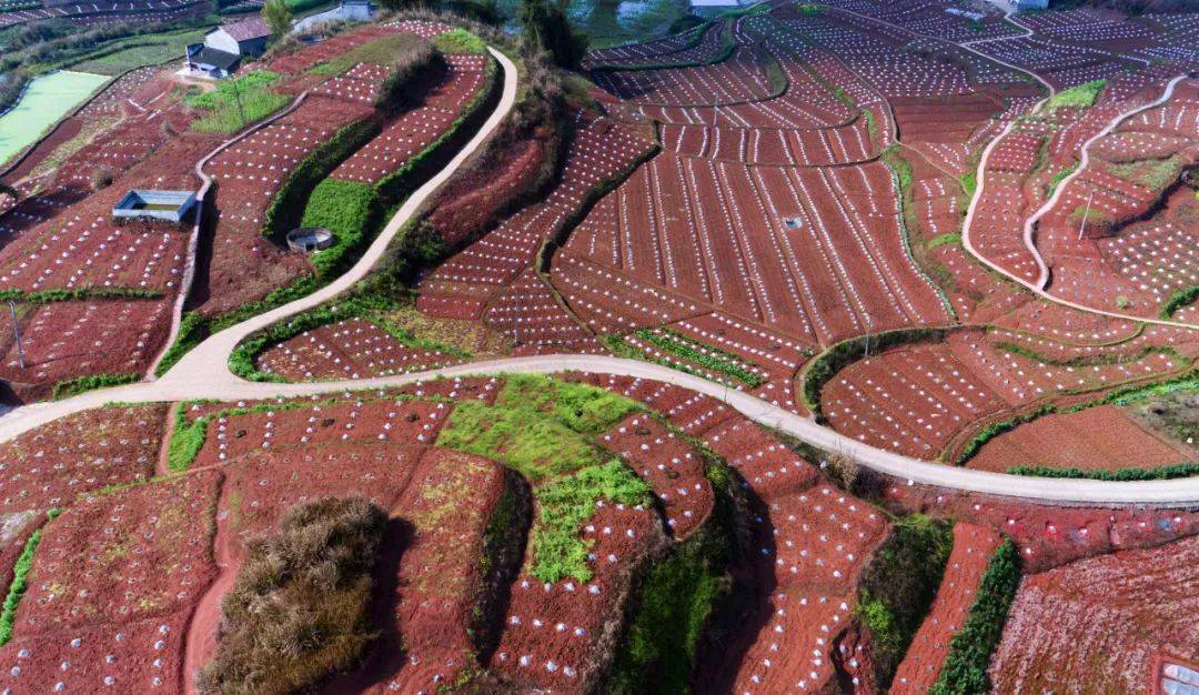 四好农村路十周年江安县深入探索建管养运打造县乡村三级物流体系