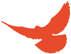 喜报校团委推报的动漫作品在江苏省铸牢中华民族共同