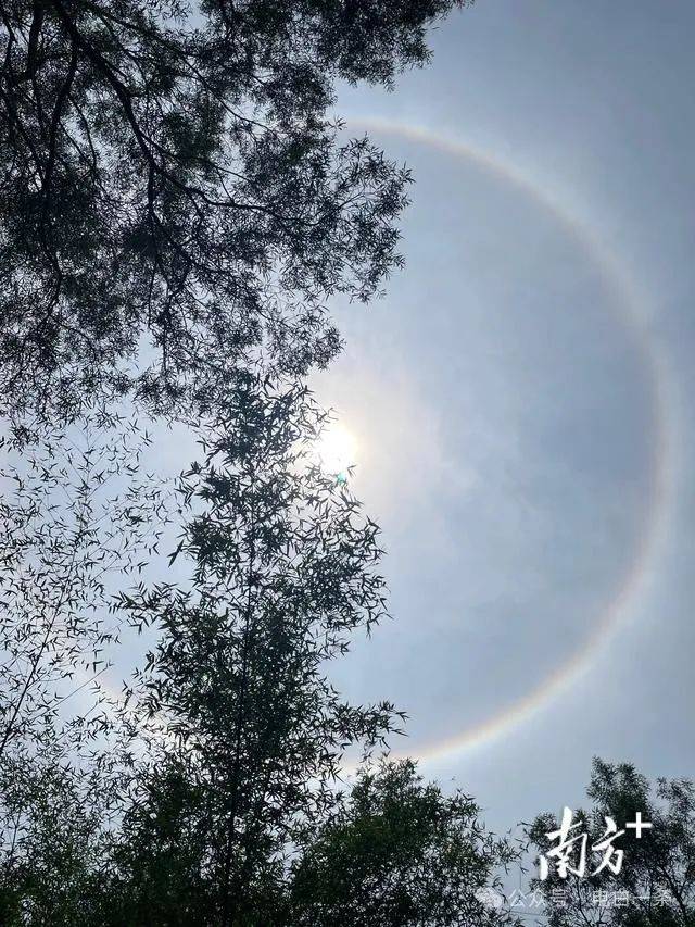 梁柳怡摄于高州仙人洞附近.黄良摄于高州长坡中学.