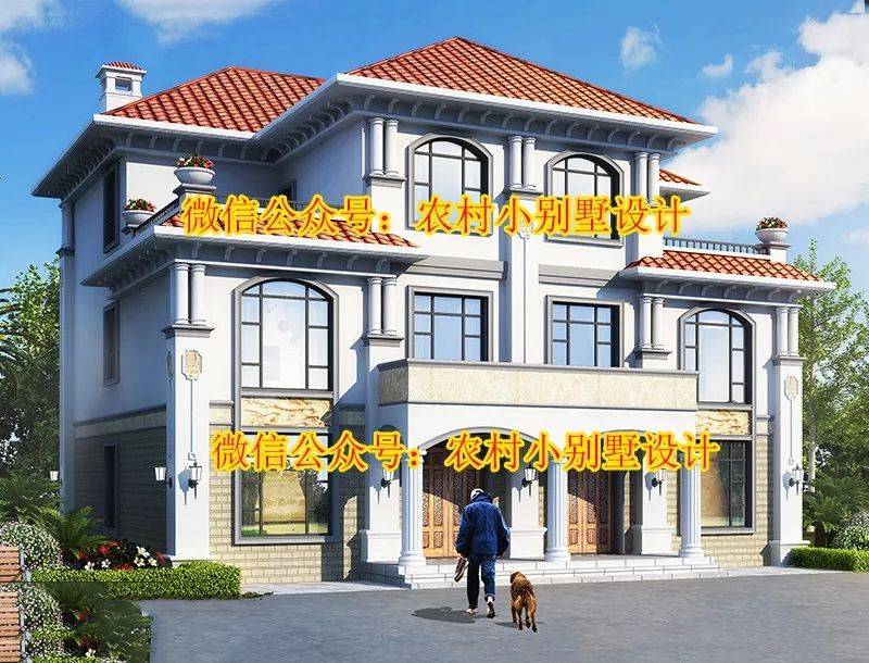 12款农村兄弟双拼别墅,双拼别墅户型图效果图,想建双拼的朋友万万不能错过_图纸_设计_开间