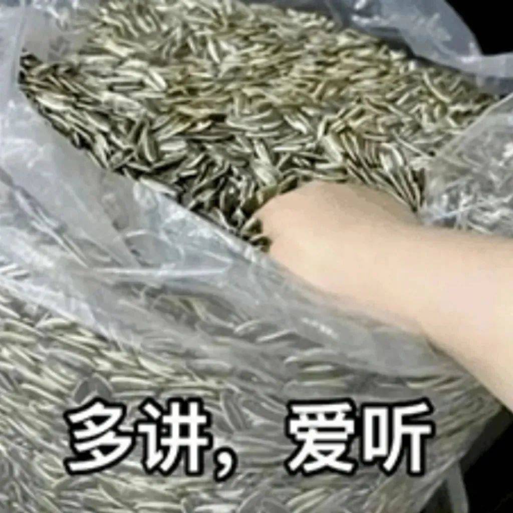 表情包出来玩没必要太正常