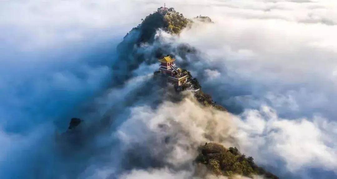 秦岭植物园.西安城市观光车.朱雀.太平.楼观等二十多景_景区_终