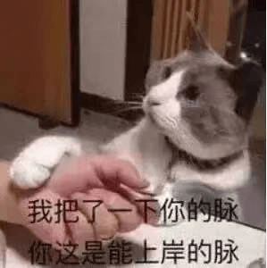 托福110分和雅思8究竟哪个更好考？
