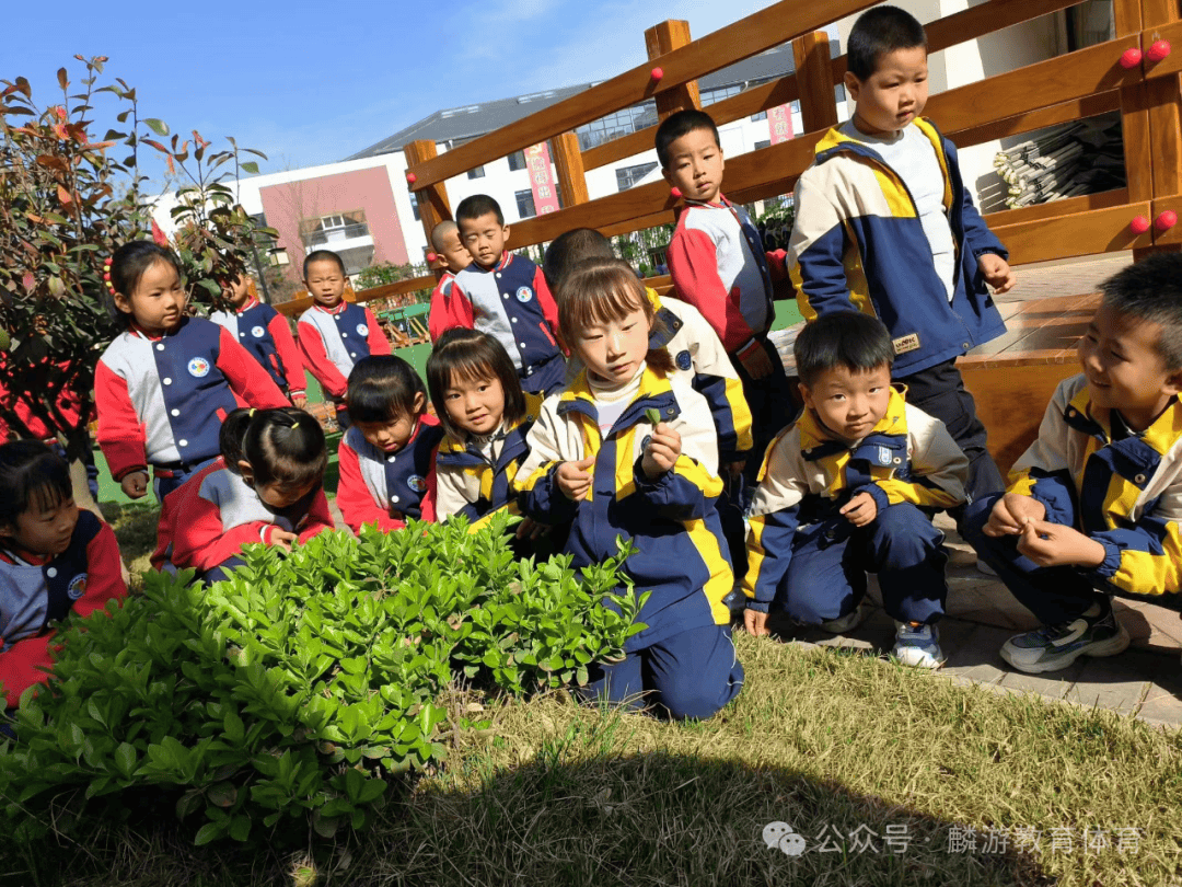 春日触摸感知万物麟游县恒大幼儿园“赏春”主题系列活动---触摸_搜狐网, image size:1080x810