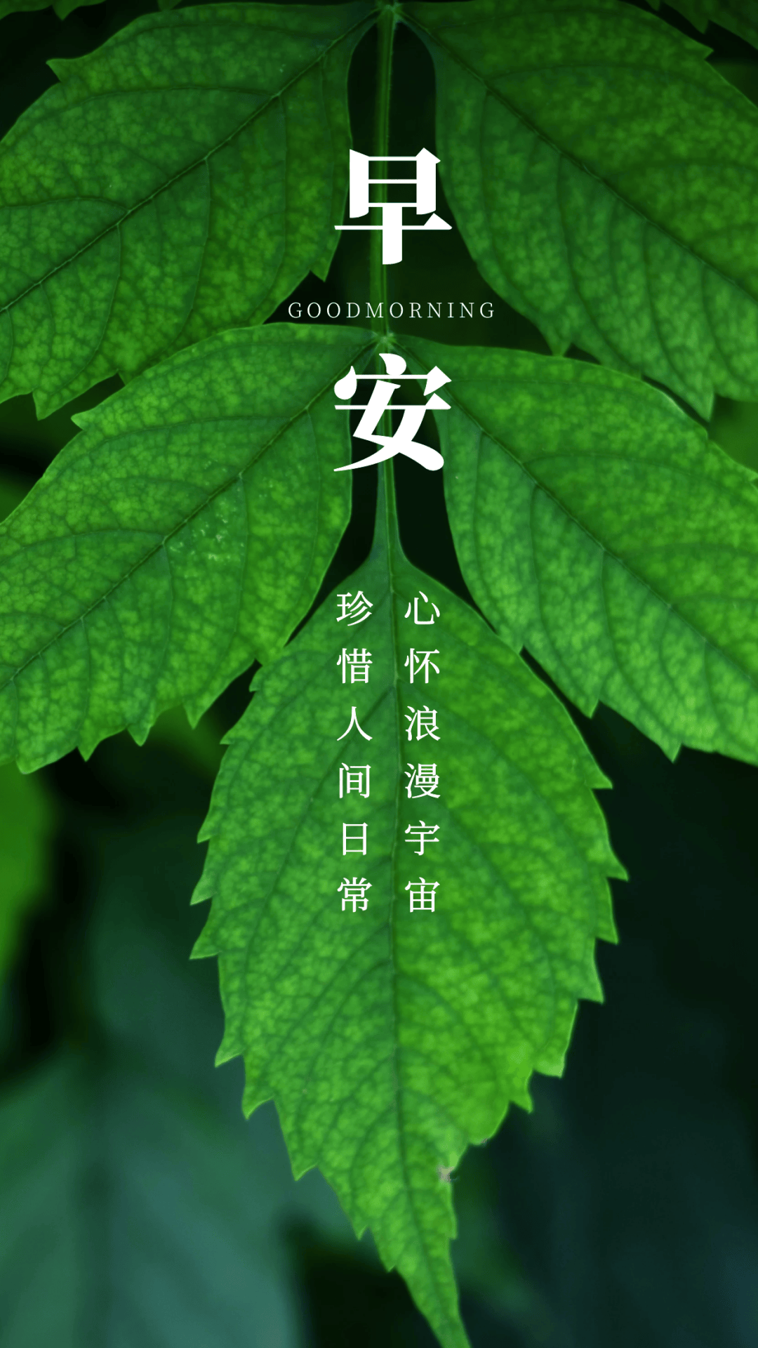 早安语录朋友圈文案正能量句子