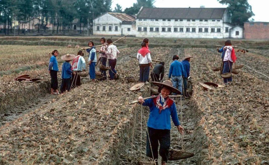 1970年代老照片图片